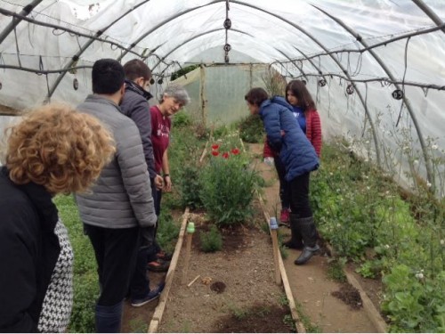 Agricoltura sociale: tirocini di ragazzi autistici presso la Scuola Agraria del Parco di Monza