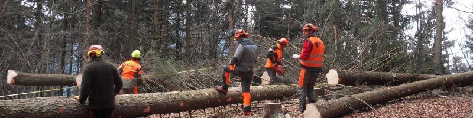 Operatore forestale base a Clusone (BG)