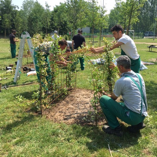 lavoro giardiniere como lavoro giardiniere como