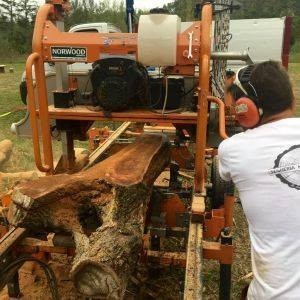 Il video del corso "Valorizzazione del Legno Urbano"