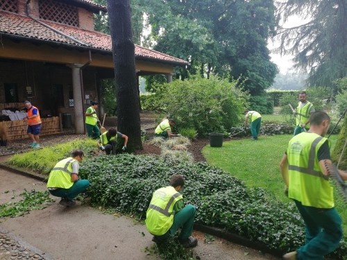 LA FORMAZIONE DEI PROFESSIONISTI DEL VERDE: LA FIGURA DEL “MANUTENTORE DEL VERDE” (ART. 12, LEGGE 154/2016) - intervento della Scuola a Myplant & Garden 2019