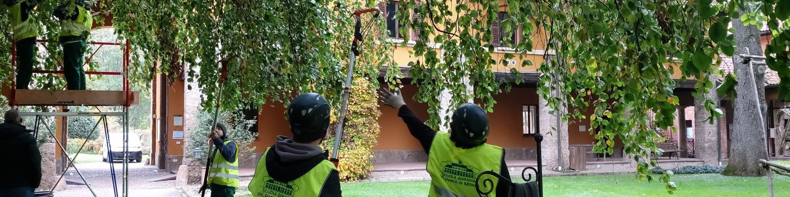 Manutentore del verde