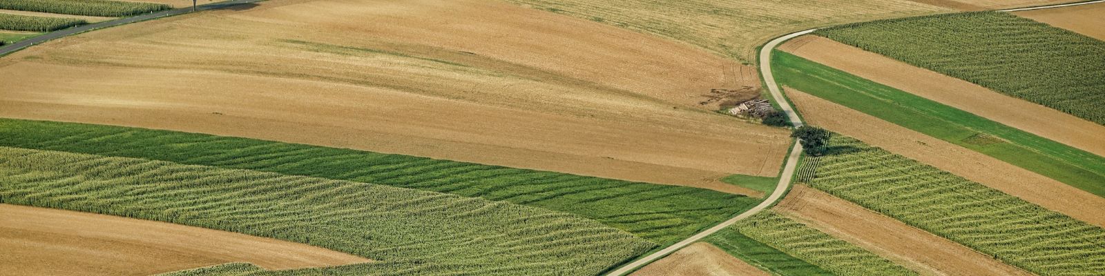 Corso di formazione per la conduzione di trattori agricoli gommati