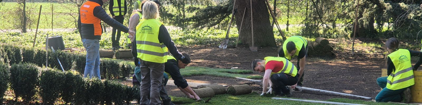 Tecniche di giardinaggio e cura del verde - Corso base per la cura delle aree verdi