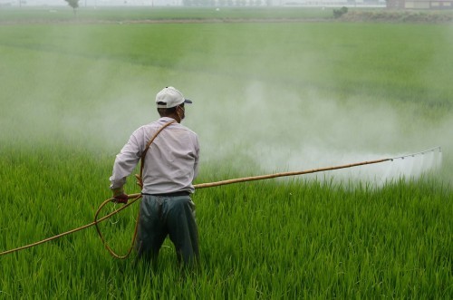 Fitosanitari: l’Italia si conferma il Paese più sicuro al mondo per la qualità dei suoi prodotti