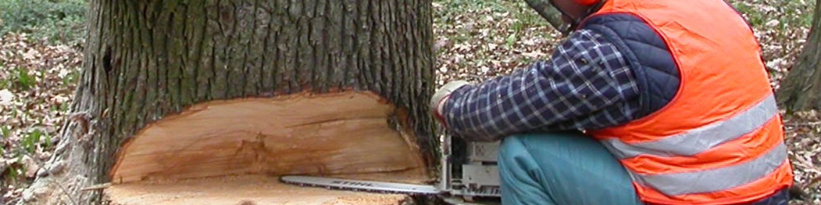 Motosega: uso corretto e manutenzione