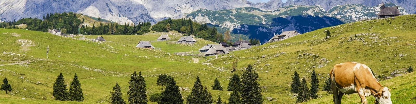 Operatore casaro d’alpeggio e per caseifici aziendali (76 ore, dal 13 al 24 ottobre)