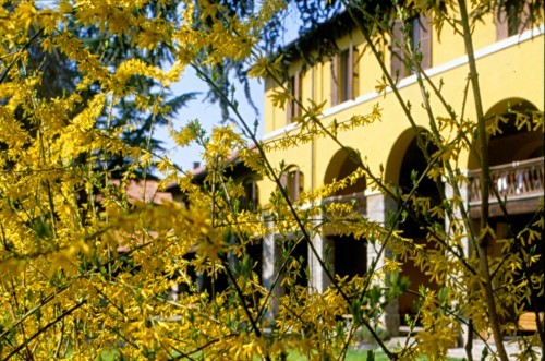 Land Art alla Scuola Agraria del Parco di Monza