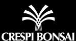 11° Raduno Internazionale del Bonsai & Suiseki