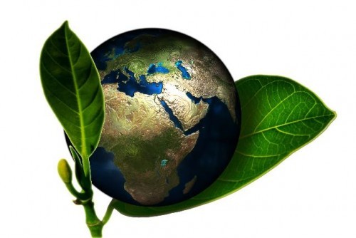 Workshop Internazionale - Green Economy