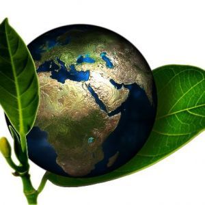 Workshop Internazionale - Green Economy