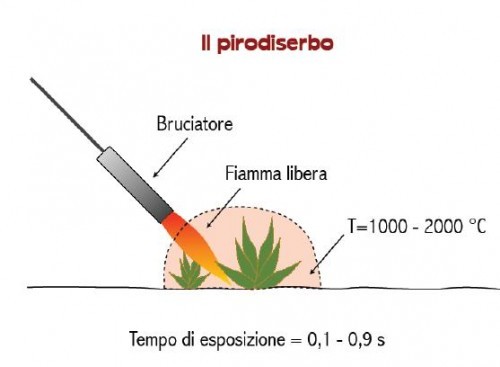 Come cambia la gestione del verde pubblico: il controllo del verde indesiderato
