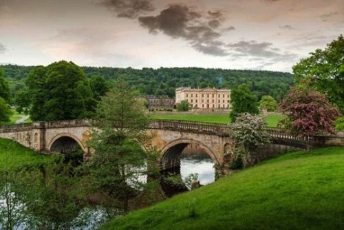 RHS Chatsworth Flower Show 2017