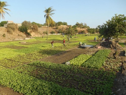 Esperienza dinamica in Senegal 8-14 Marzo 2016
